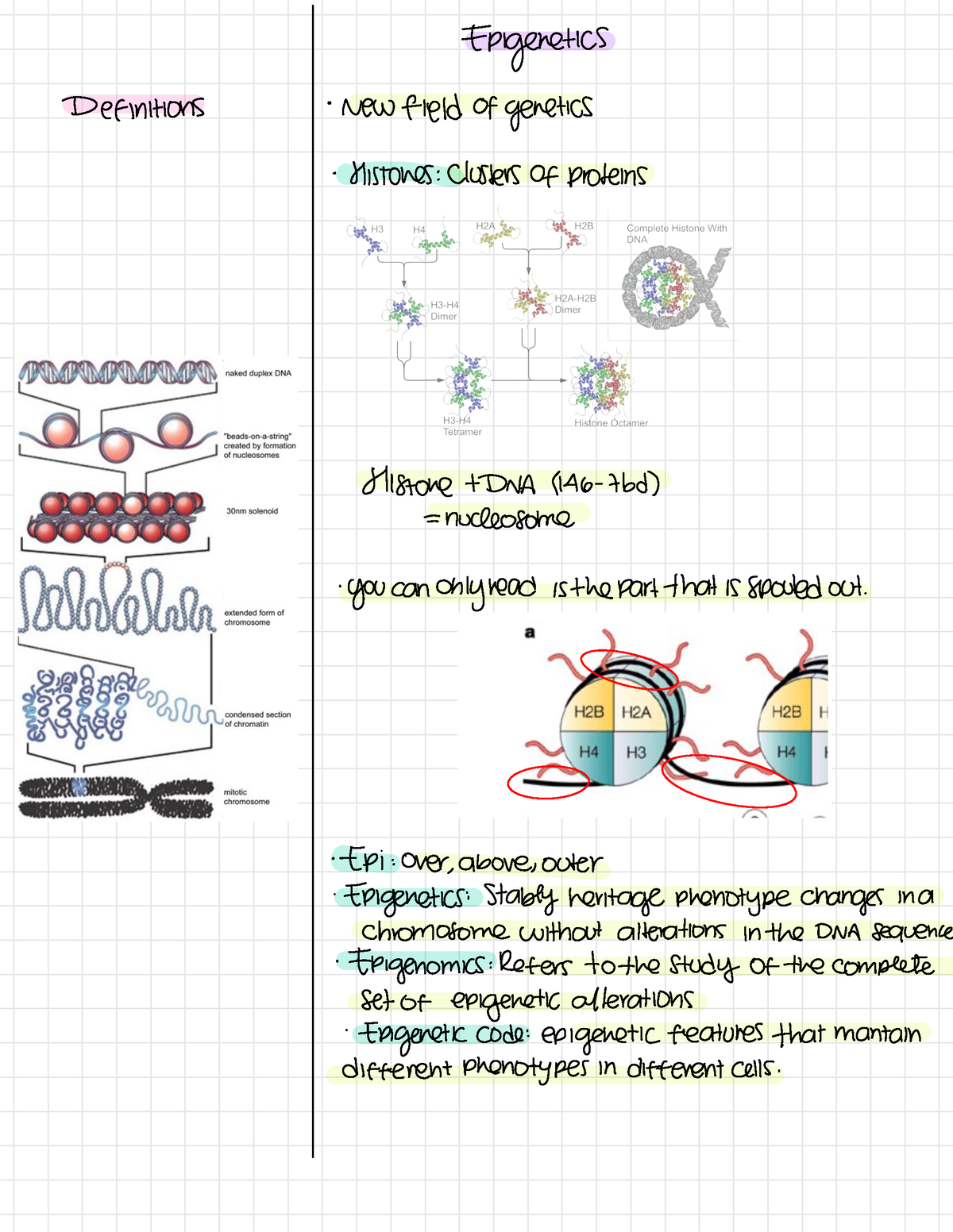 Behavioral Genetics-epigenetics - Epigenetics Definitions New Field Of ...