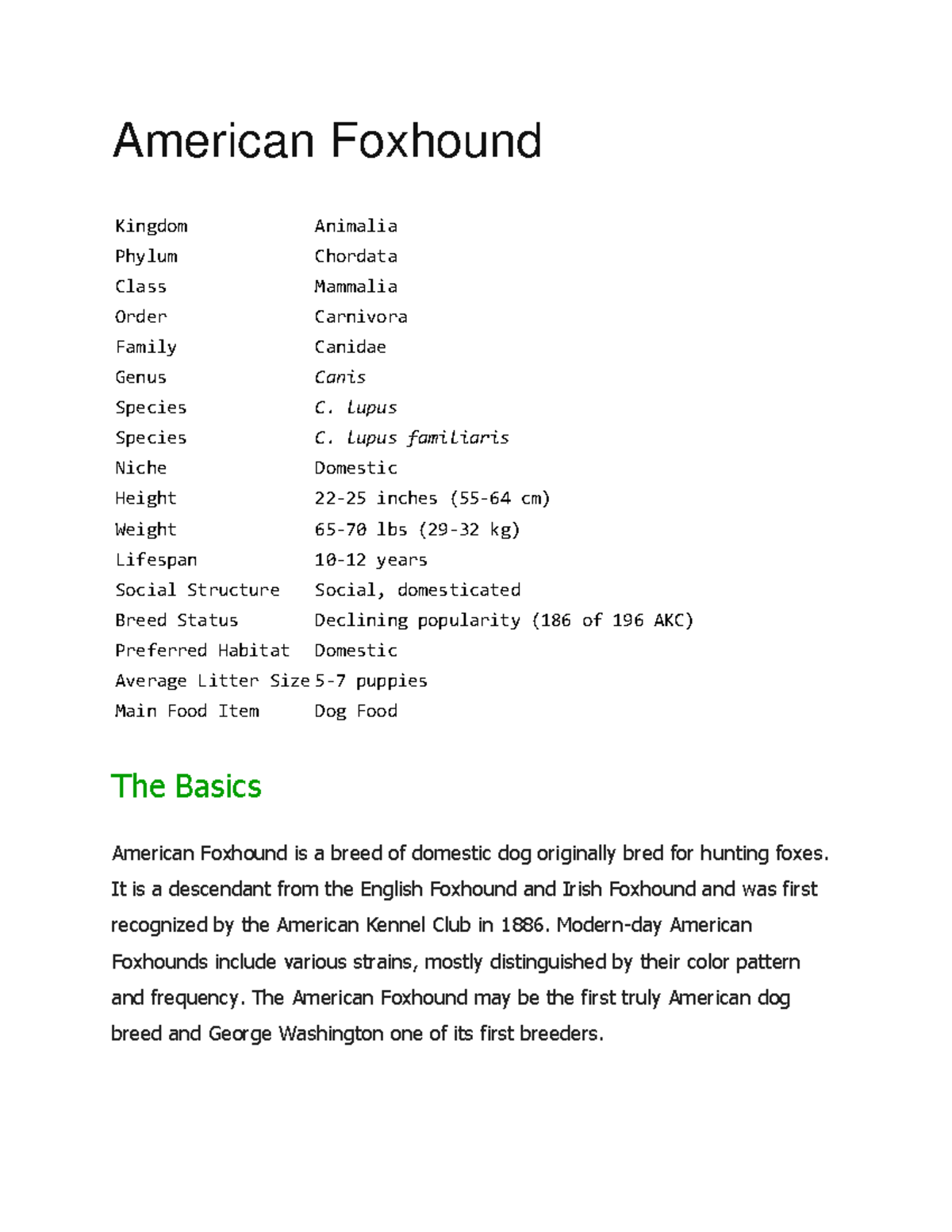 American Foxhound - American Foxhound Kingdom Animalia Phylum Chordata ...