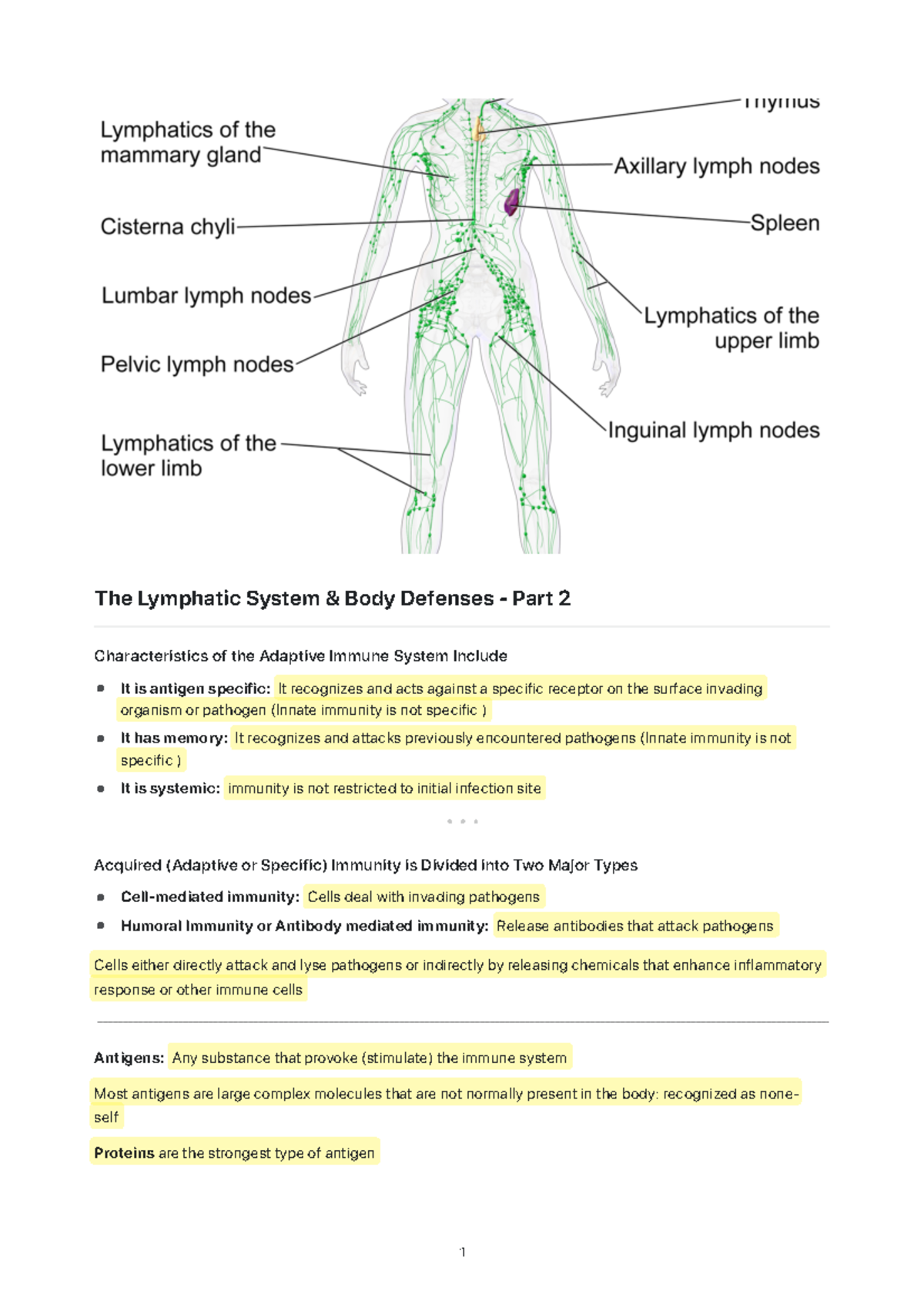 Chapter 5 - Part 2 - The Lymphatic System and Body Defenses - The ...