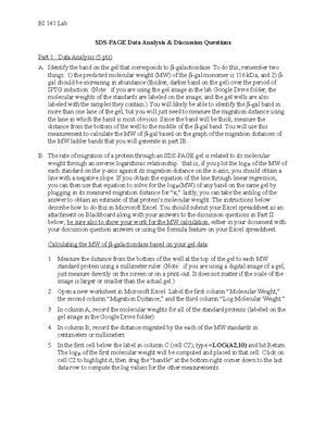 BI141 Digital Lab Notebook Guidelines - BI 141 Lab Dr Bue Guidelines ...