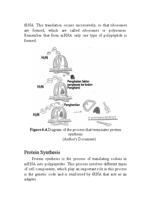 Cell-Energy-Web Quest-Student-Handout-Long-URLs - ©Science Is Real by ...