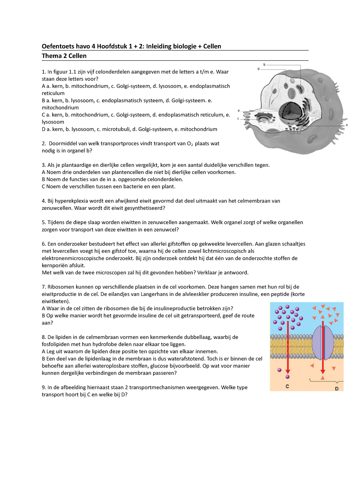 Oefentoets Havo Hoofdstuk Vragen Biologie Oefentoets Hoofdstuk My Xxx