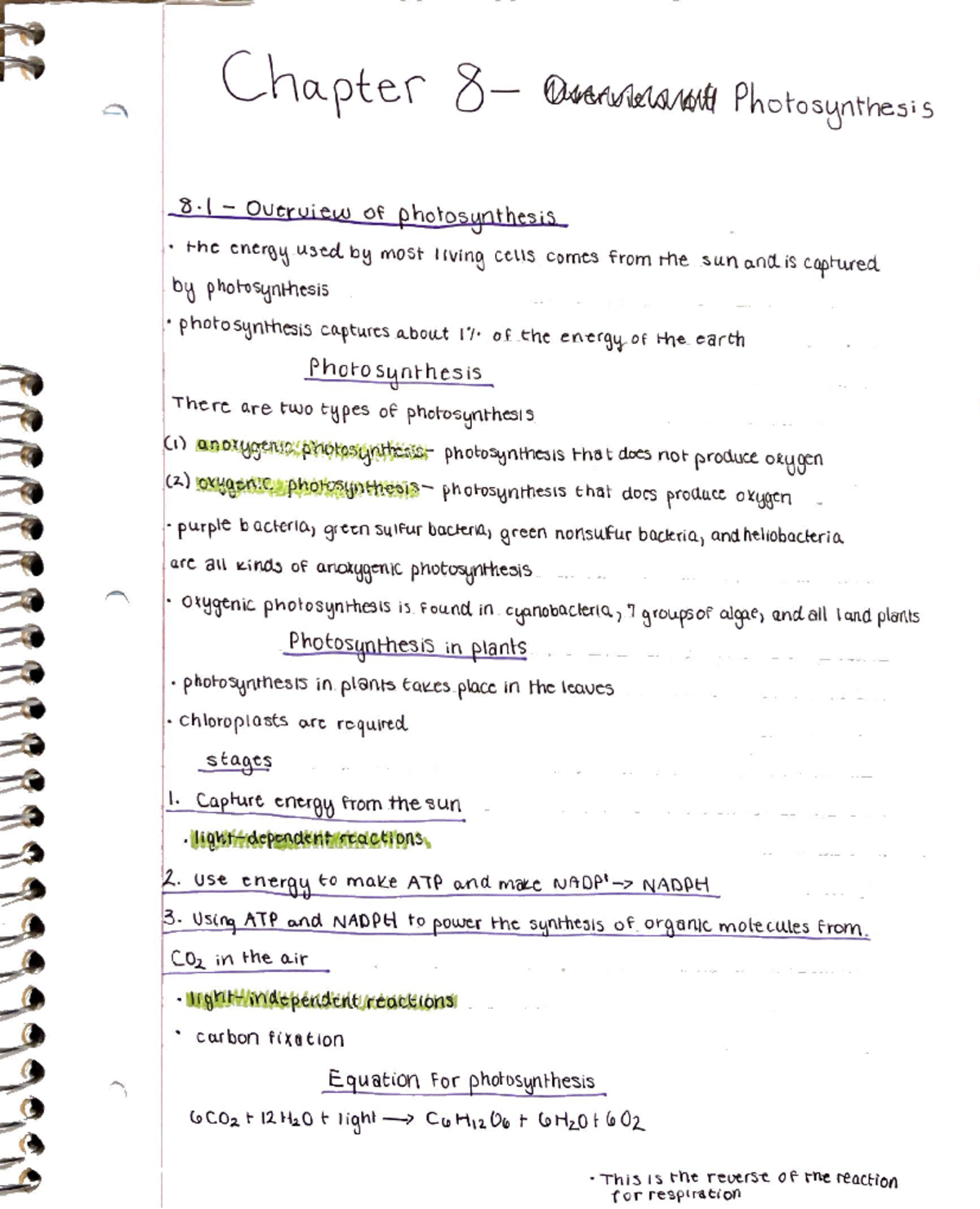 Bio 1406 Chapter 8 Notes - BIOL 1406 - Studocu