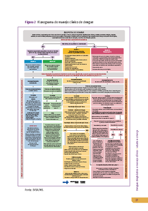 Classificação De Risco E Manejo Do Paciente Com Suspeita De Dengue ...