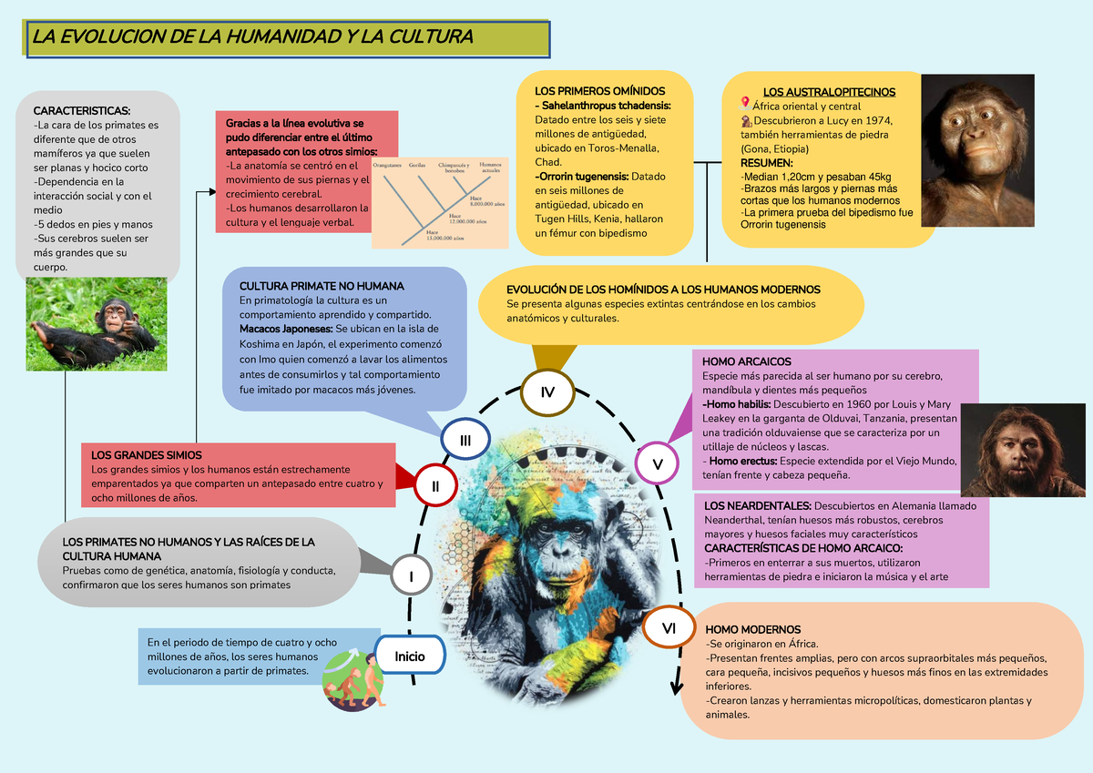 Evolucion - Sociedad - Responsabilidad Social Universitaria - Studocu