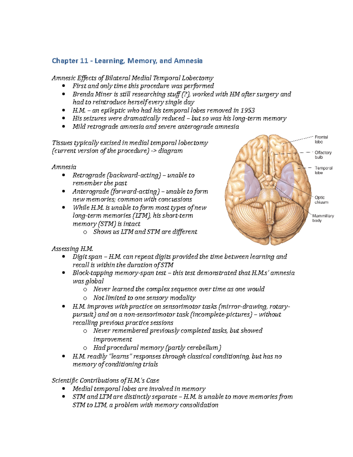 Chapter 11- Learning, Memory, and Amnesia - an epileptic who had his ...