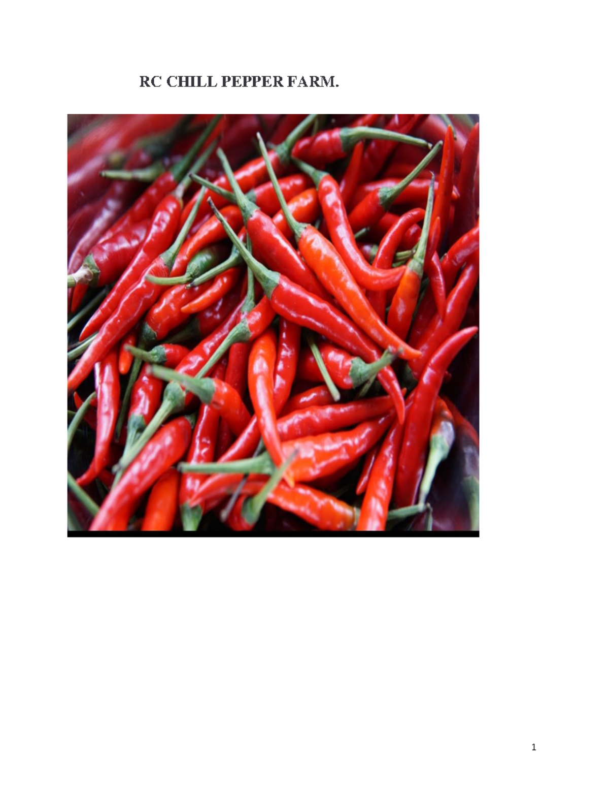 RED Pepper Business PLAN Sample RC CHILL PEPPER FARM. BUSINESS NAME