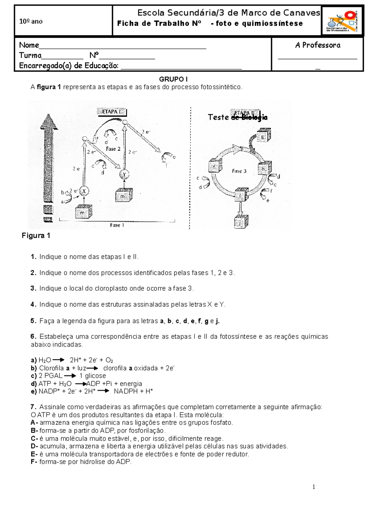Ficha De Trabalho 1 Fotossintese Grupo I A Figura 1 Representa As