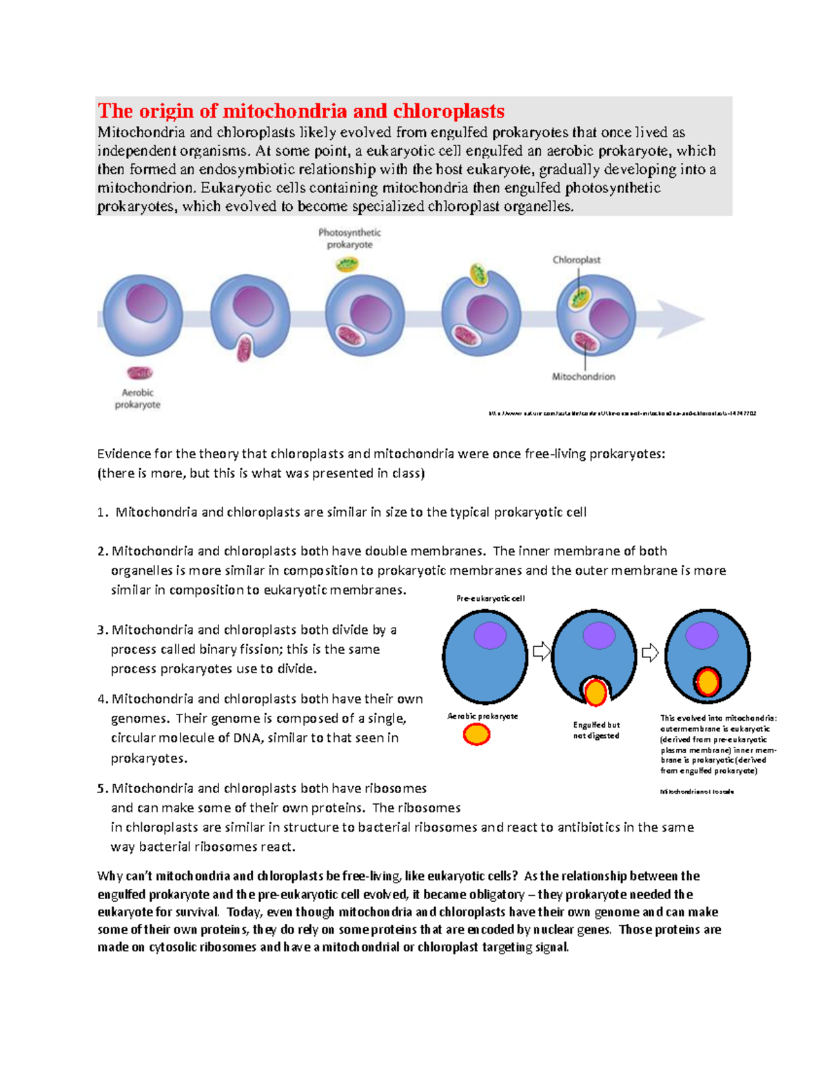 Origin Of Mitochondria & Chloroplasts - Pre-eukaryotic Cell Aerobic ...