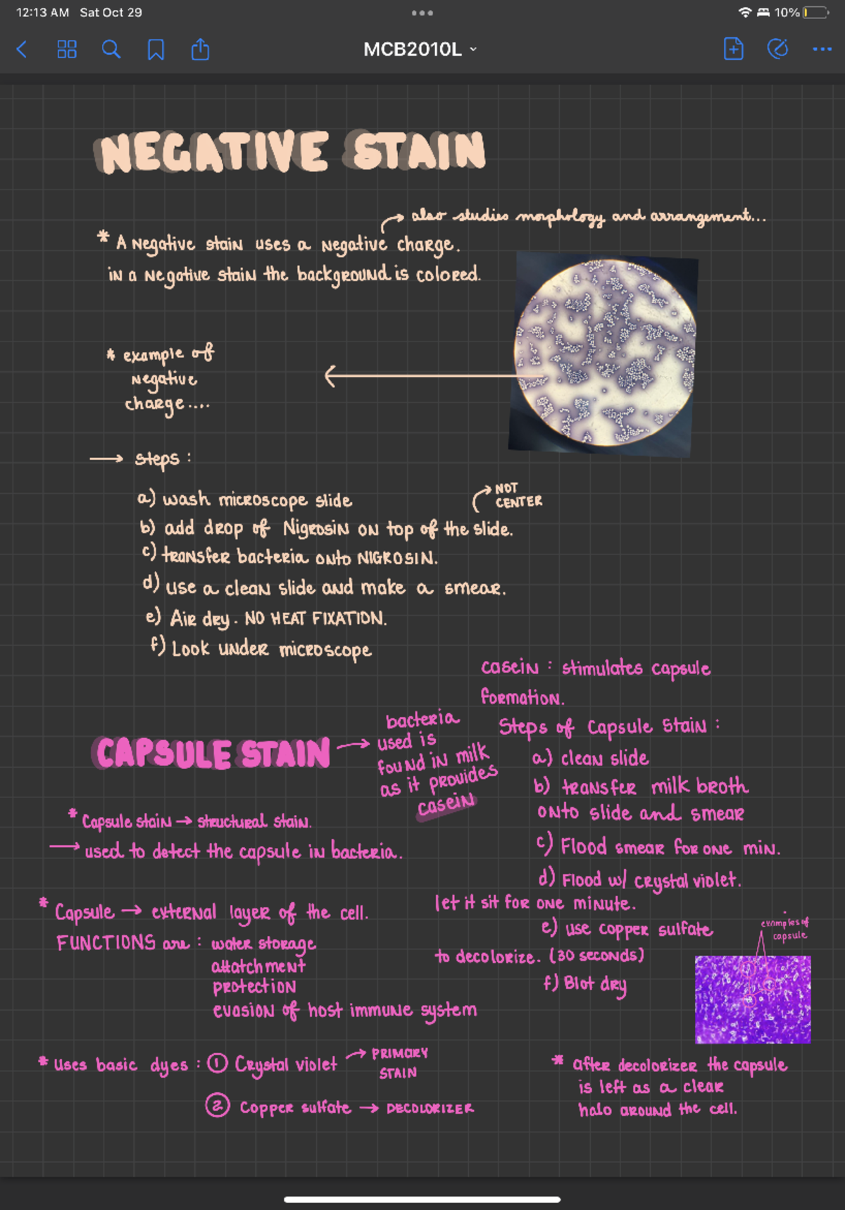 Negative Stain in Microbiology - MCB2010 - Studocu