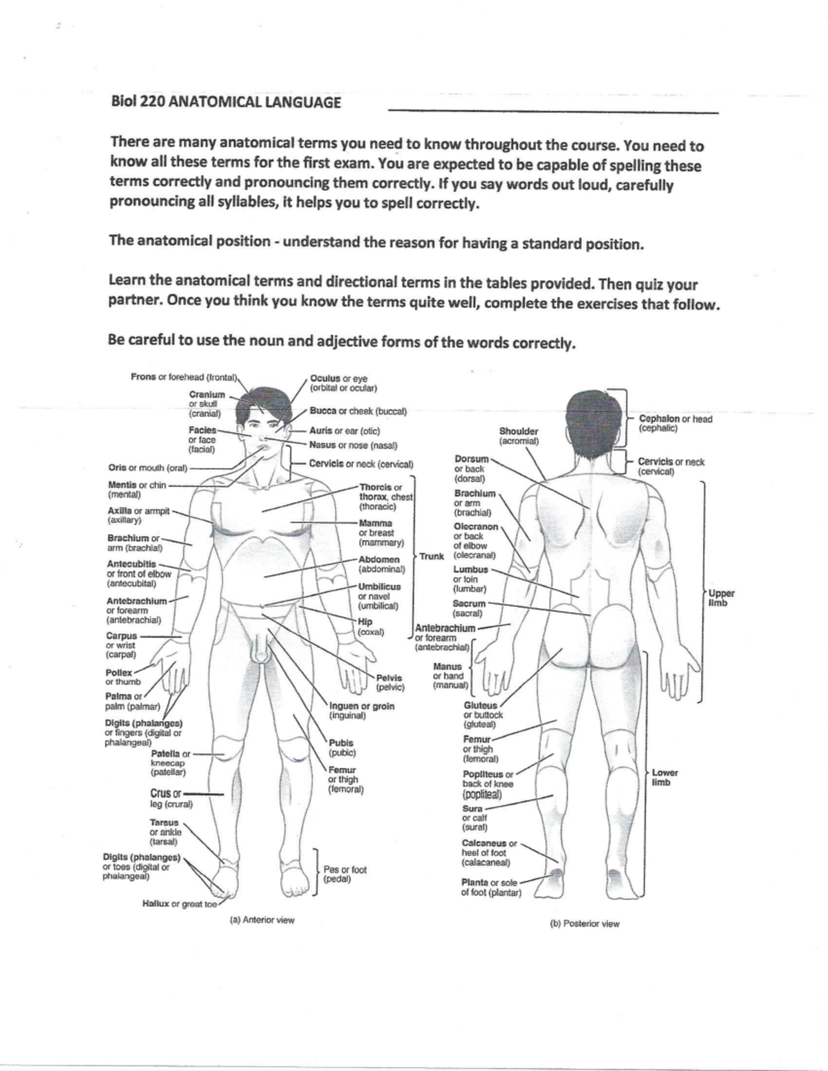 Biology 220 Worksheets - BIOL 328 - Studocu