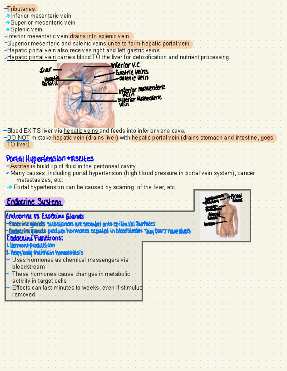 Mini Lectures 12 - Lecture notes over medical imaging, the different ...