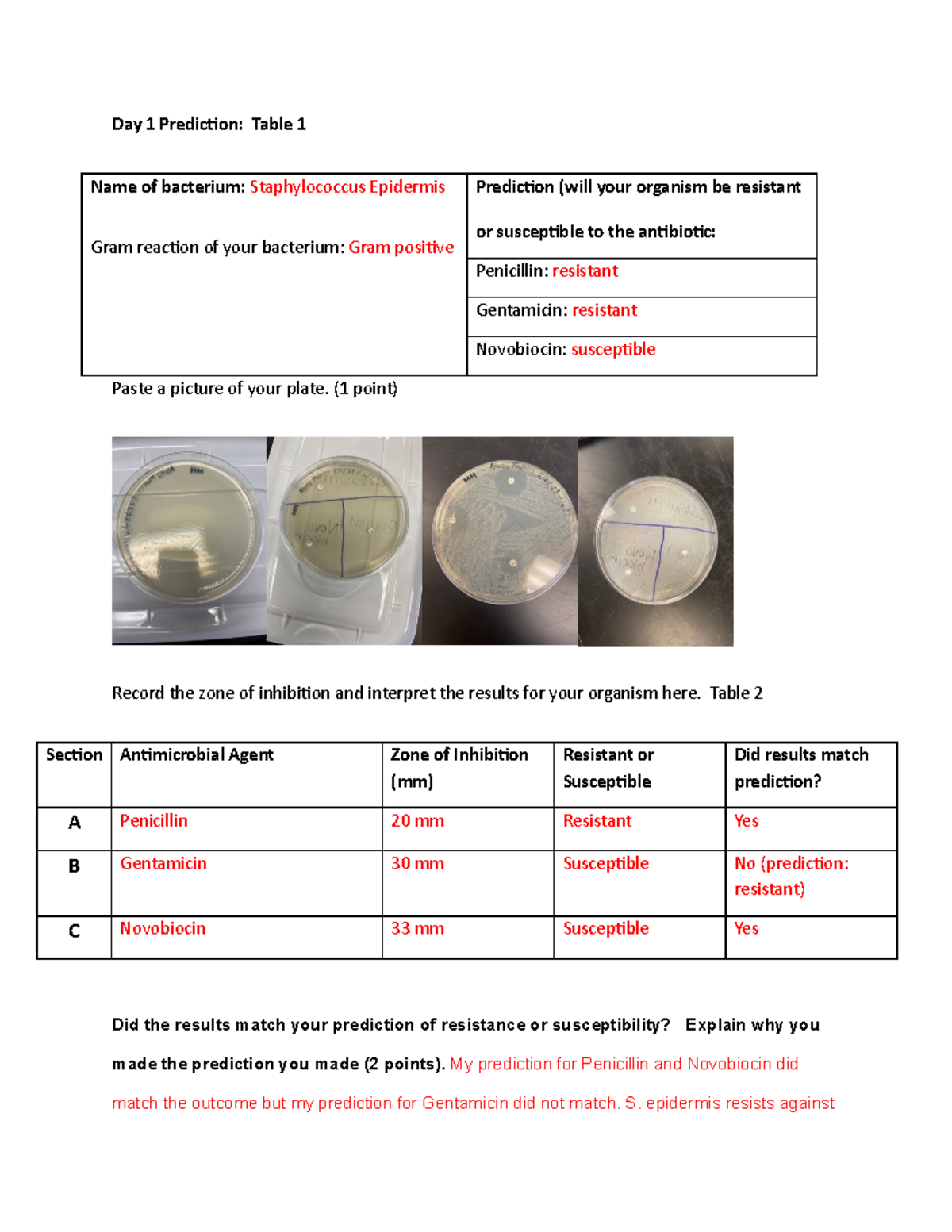 Lab 6 Answer Sheet - Day 1 Prediction: Table 1 Name of bacterium ...