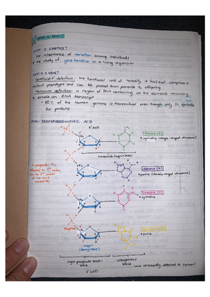 Lab test revision - summary of the drosophila labs - Genetics - Studocu