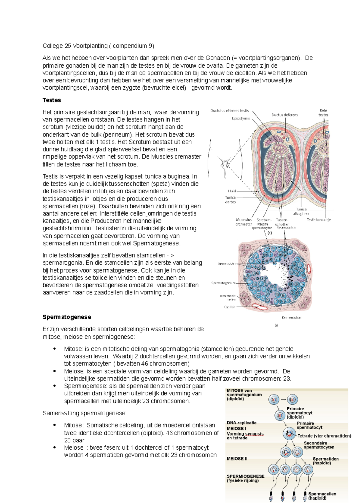 Samenvatting Van Een College Over Voortplanting - College 25 ...