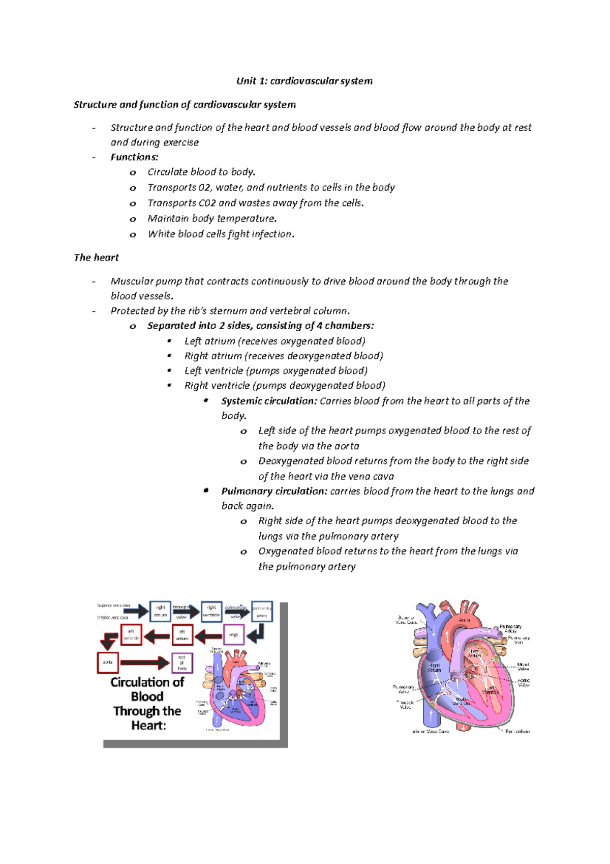 Unit 1 cardiorespiratory system - Unit 1: cardiovascular system ...