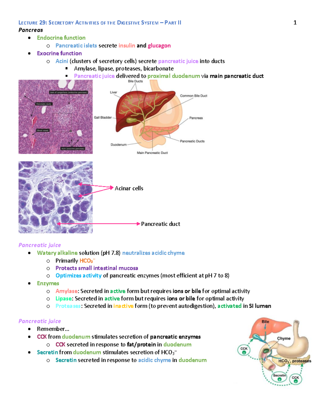 Lecture 29 Secretory Activities of the Digestive System Part II