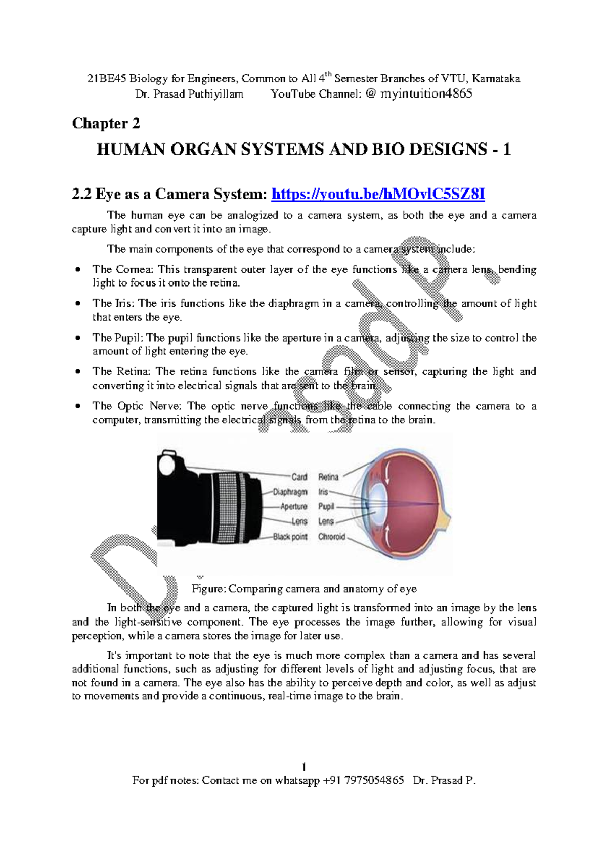 2.2 Eye as a Camera System - 21BE45 Biology for Engineers, Common to ...