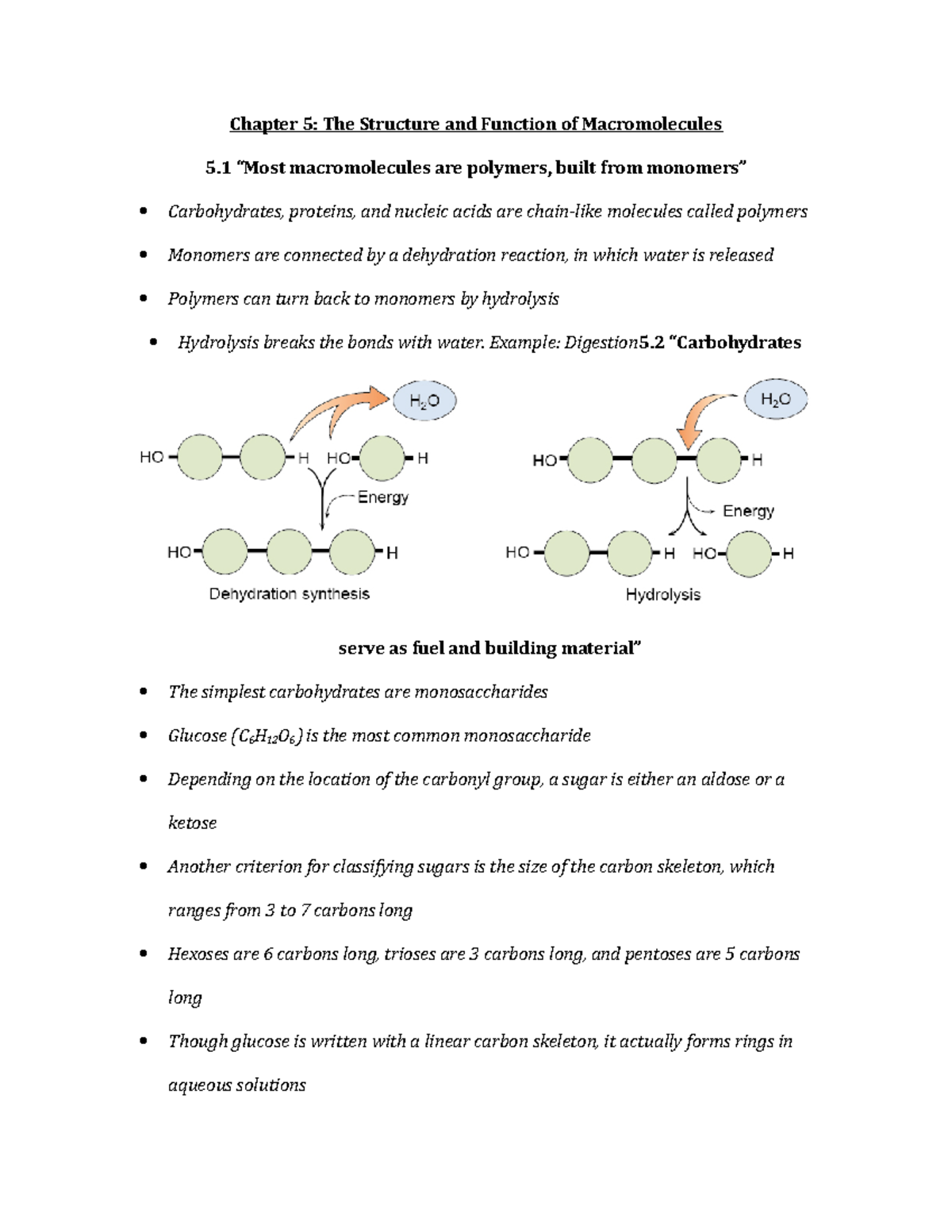 Chapter 5 Outline - Summary Campbell Biology - Chapter 5: The Structure ...