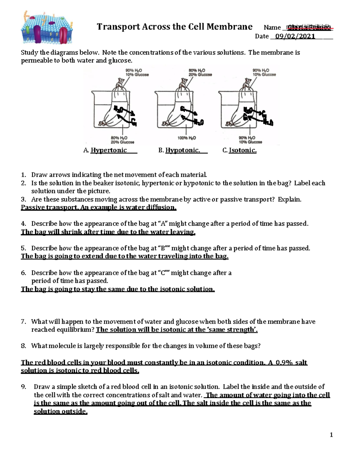 Transport Across the Cell Membrane Worksheet student copy (3) - Transport  Across the Cell Membrane - Studocu
