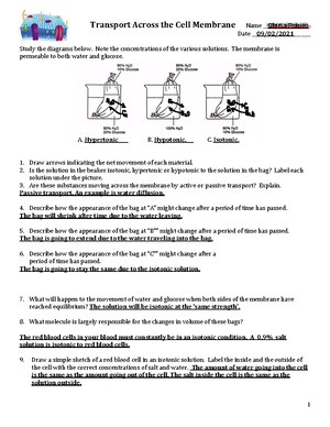 Transport Across the Cell Membrane Worksheet student copy (3) - Transport  Across the Cell Membrane - Studocu
