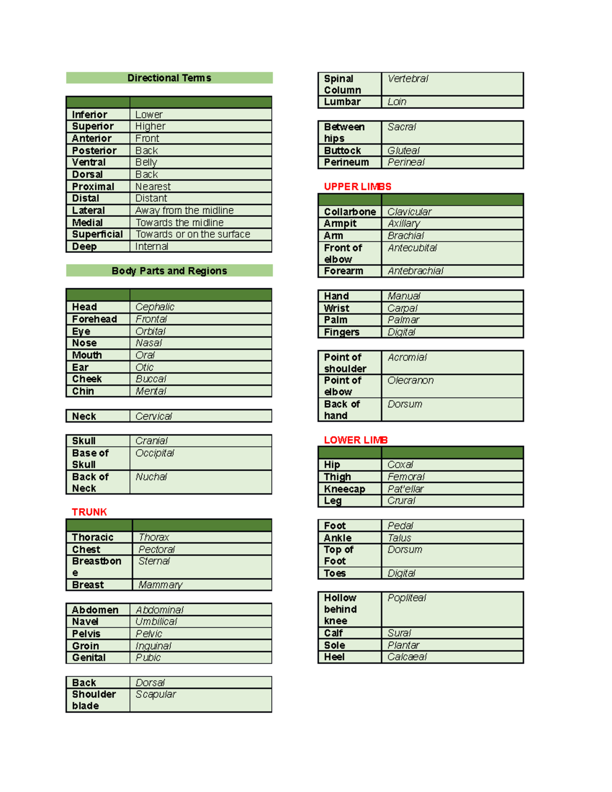 Directional Terms Human Anatomy Definition