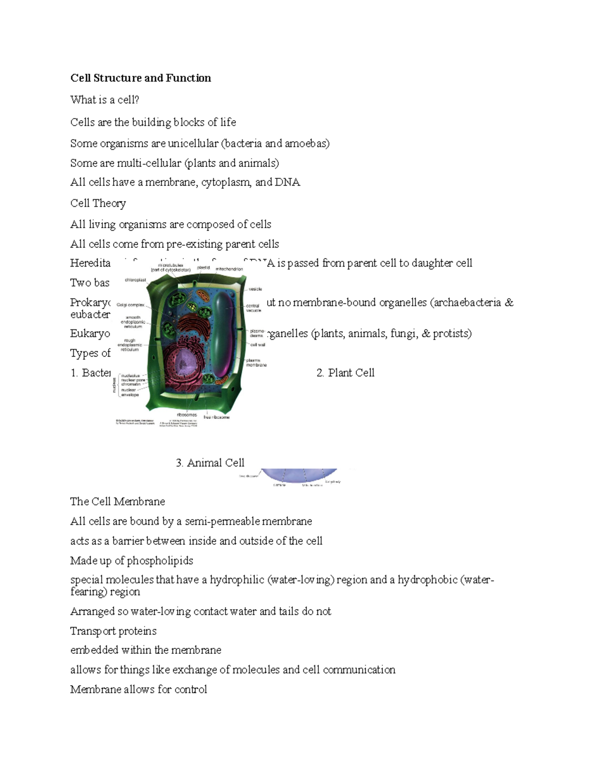 Topics in Bio Cell Notes - Cell Structure and Function What is a cell ...