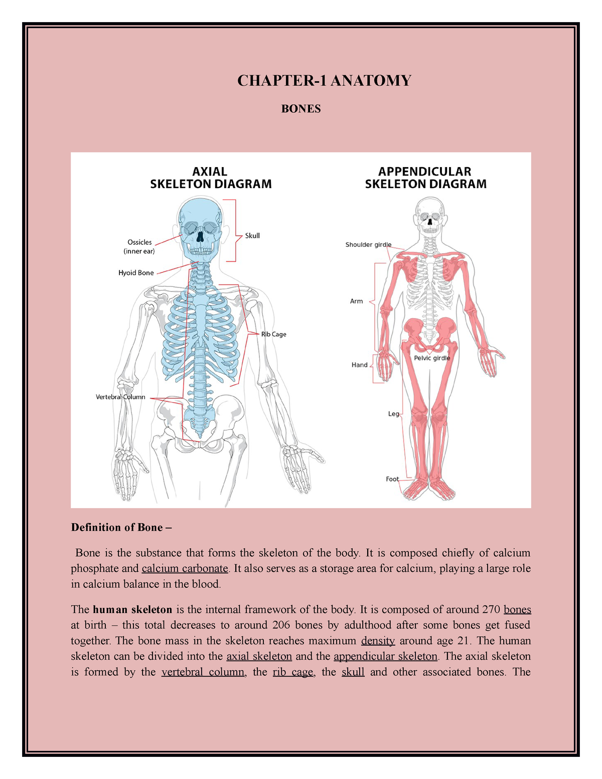 anotomy-notes-managebac-chapter-1-anatomy-bones-definition-of-bone