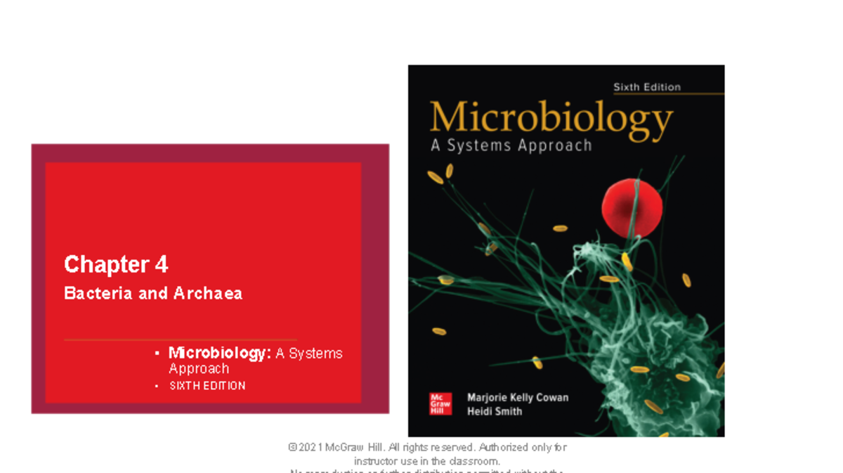 Ch+4+Prokaryotes+Student+Ppt - Chapter 4 Bacteria And Archaea ...