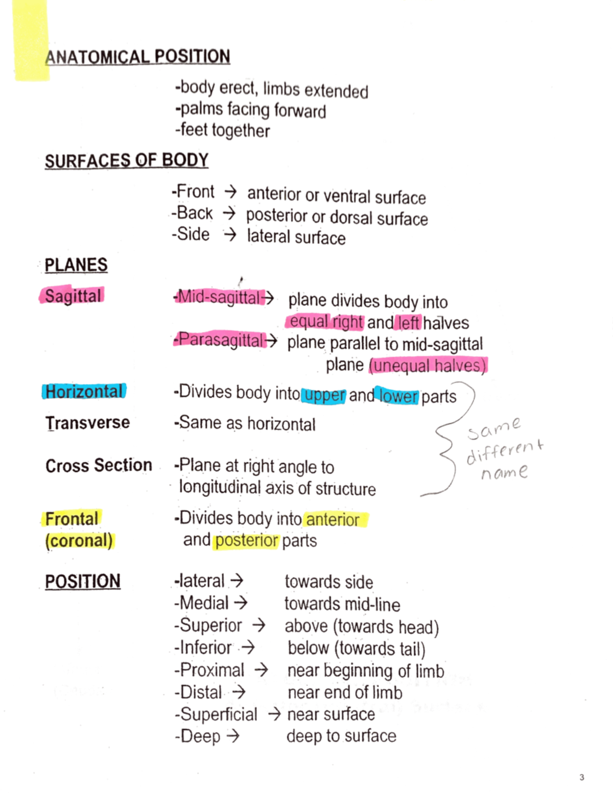 First Exam Anatomy Study Review Notes - NUR 4904 - Studocu