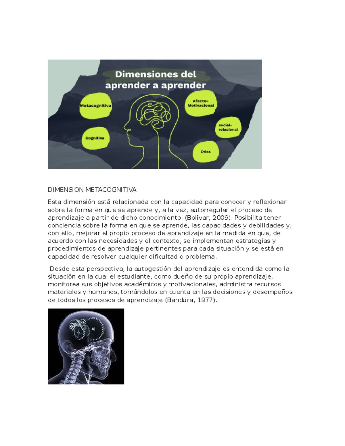 Dimension meta Cognitiva - DIMENSION METACOGNITIVA Esta dimensión está ...