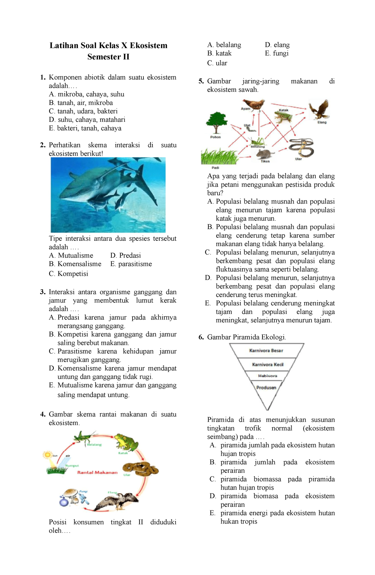 Ekosistem 2 - Latihan Soal Kelas X Ekosistem Semester II Komponen ...