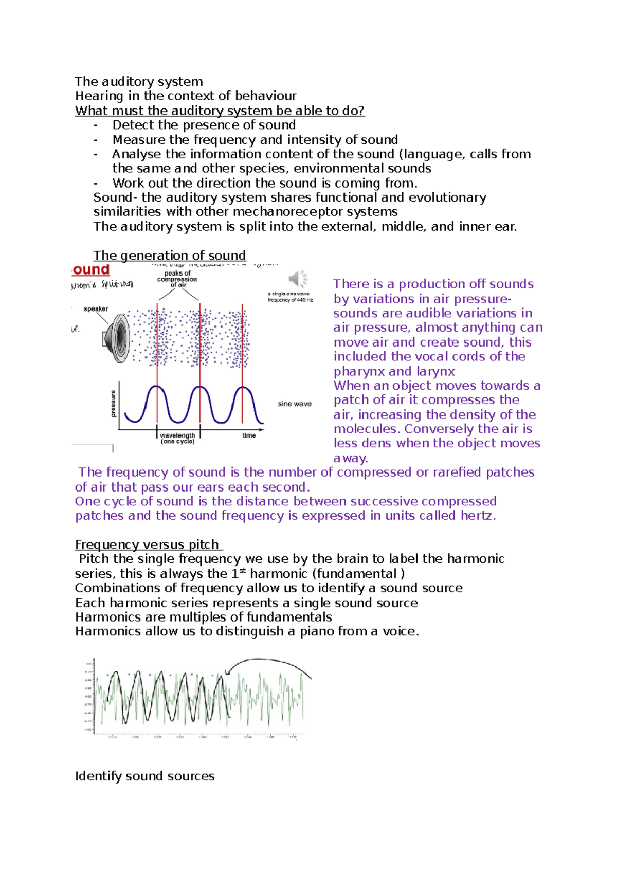 The auditory system - Sound- the auditory system shares functional and ...