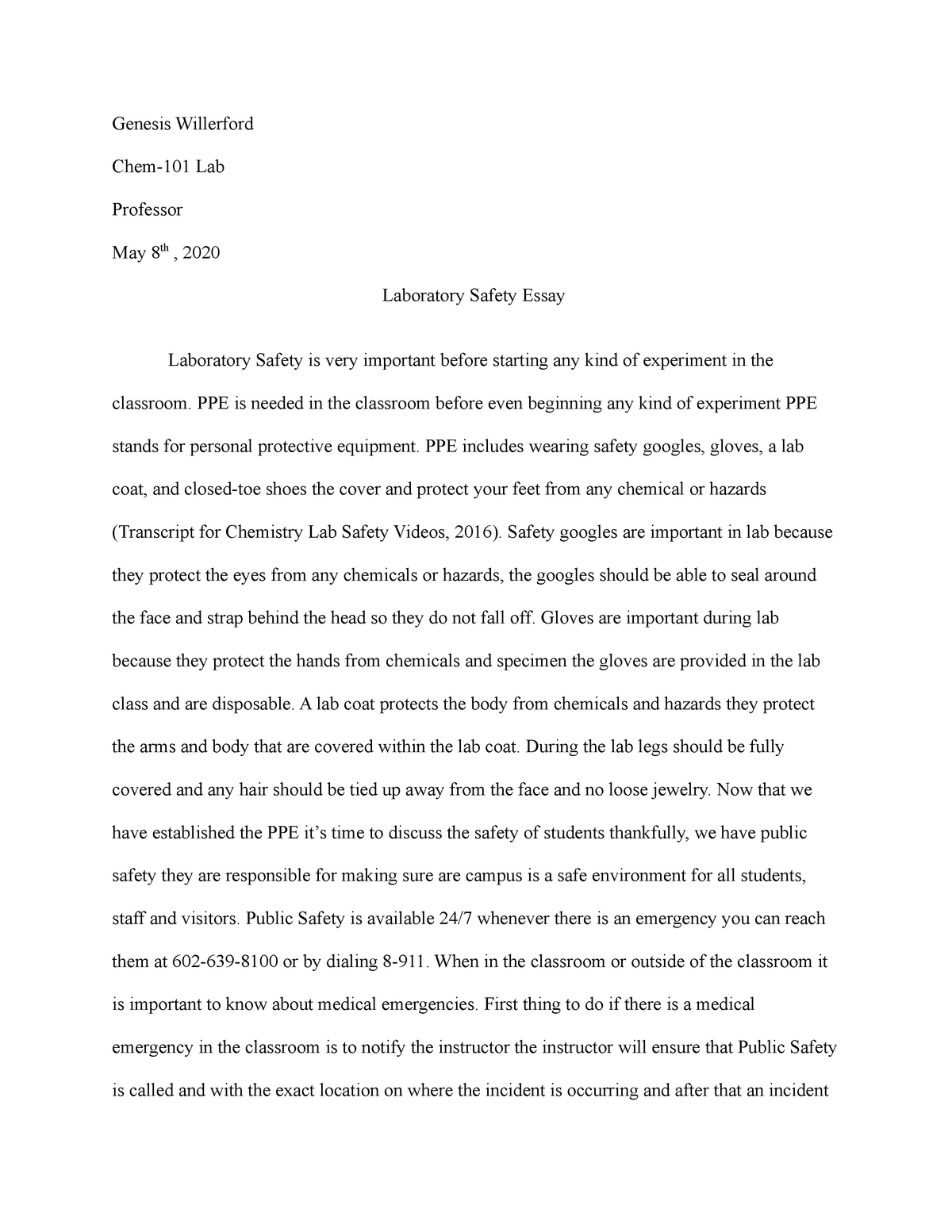safety essay writing in english
