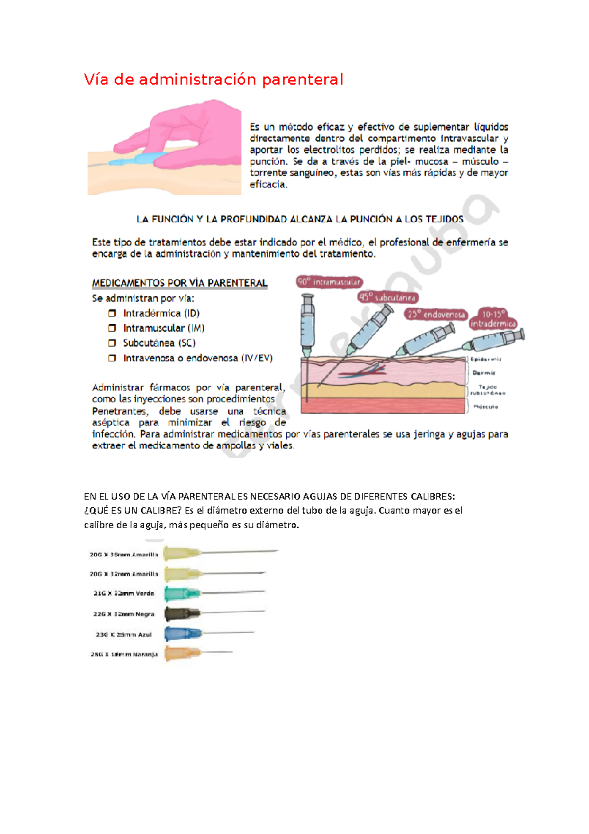 Vía De Administración Parenteral - Vía De Administración Parenteral EN ...