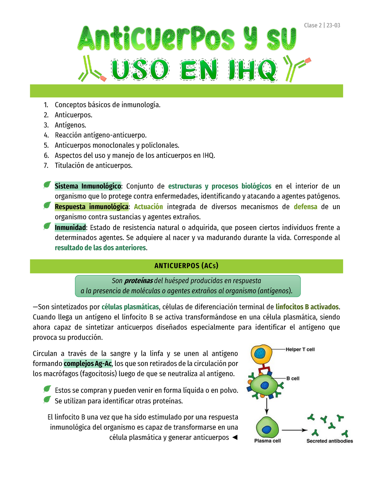 Anticuerpos Y Su Uso En Inmunohistoquímica - Conceptos Básicos De ...