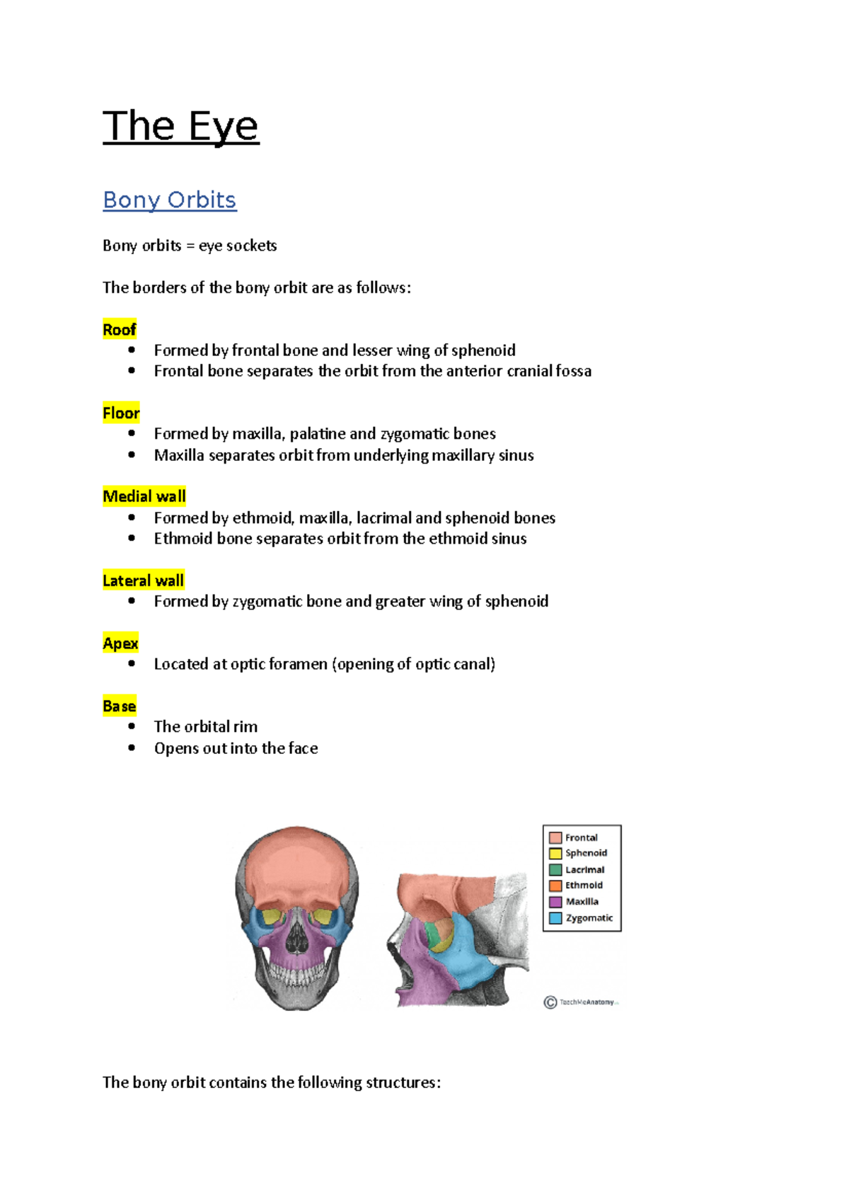 The Eye Anatomy notes The Eye Bony Orbits Bony orbits = eye sockets The borders of the bony