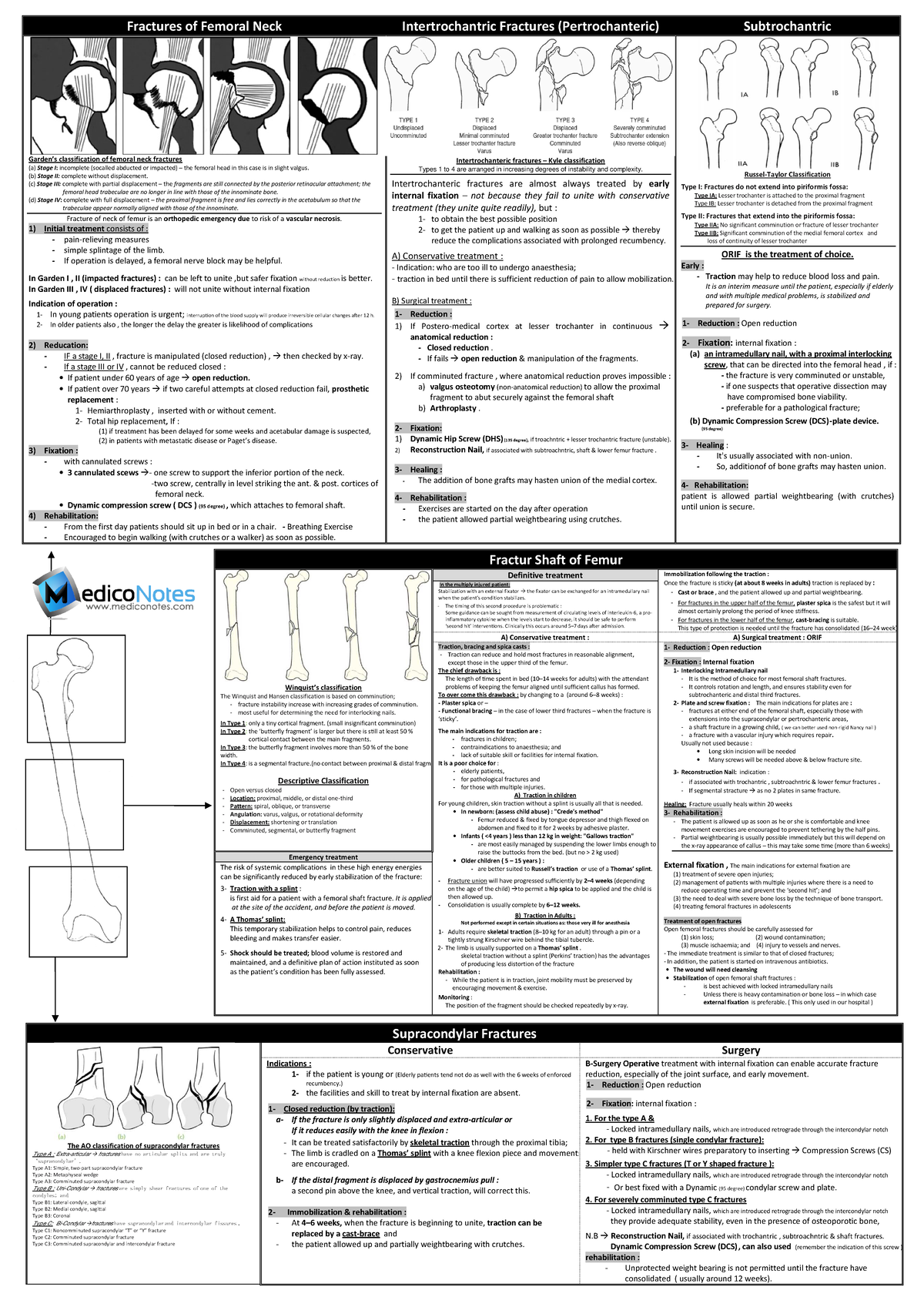 fractures-of-femur-tugas-fracture-garden-s-classification-of