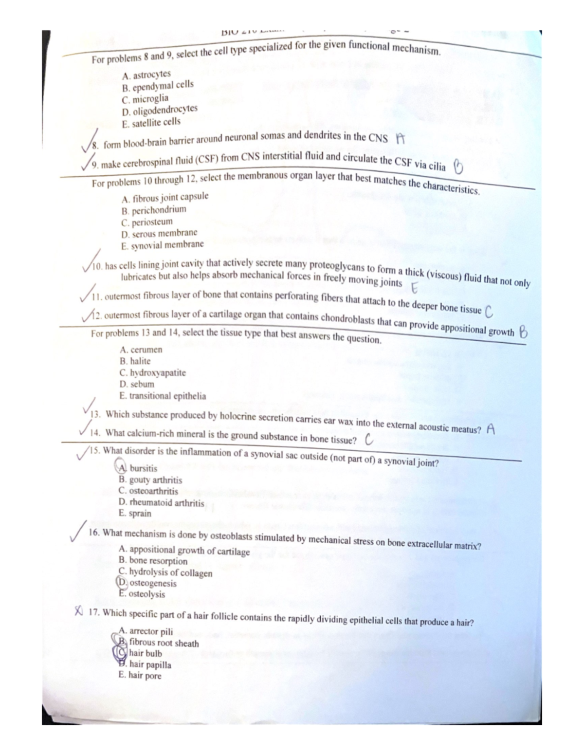 Bio 210 - practice for Dr. Peter Susan class - BIO-210-001 - Studocu
