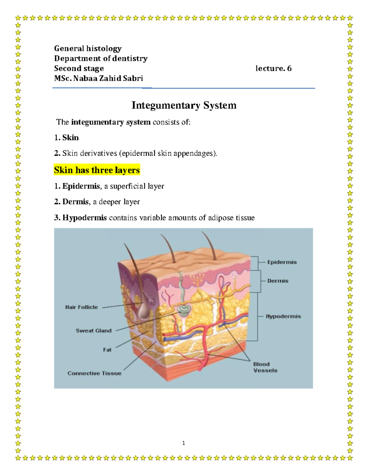 General Histology (17) - General histology Department of dentistry ...