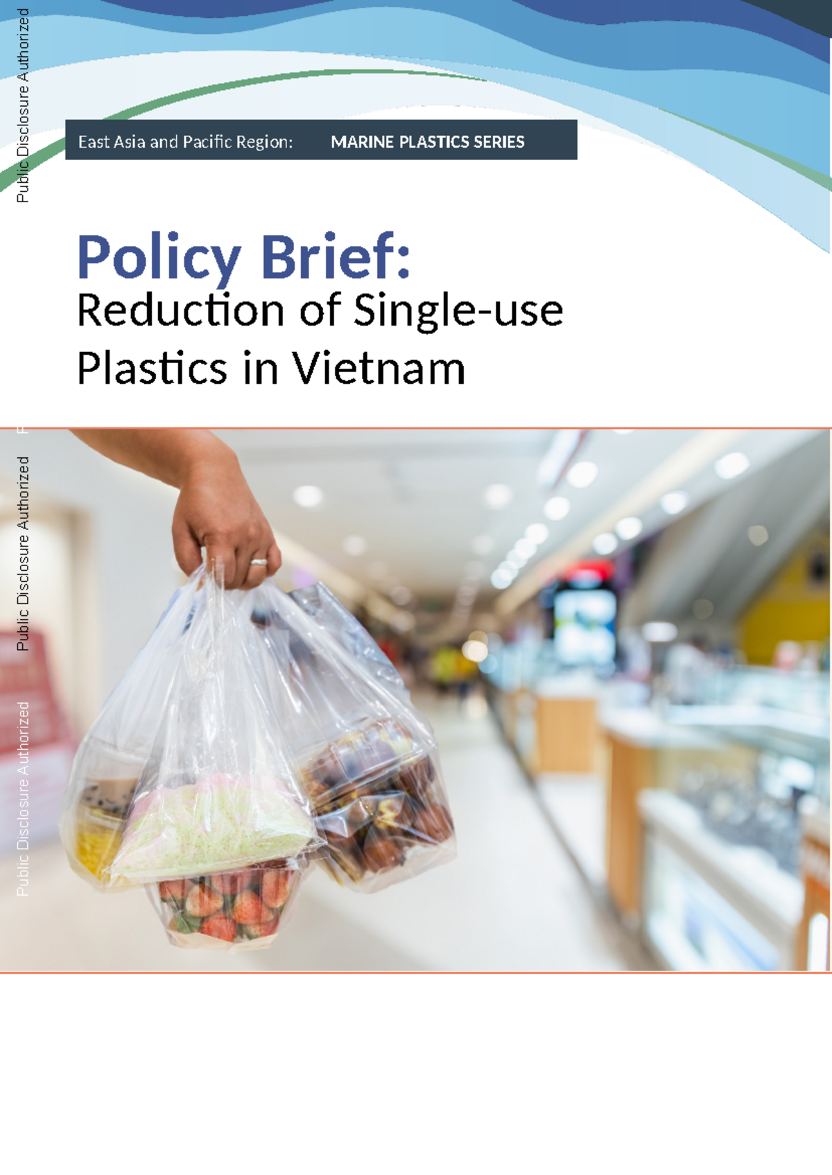 Giải Pháp Bvmt - Policy Brief: Reduction Of Single-use Plastics In ...