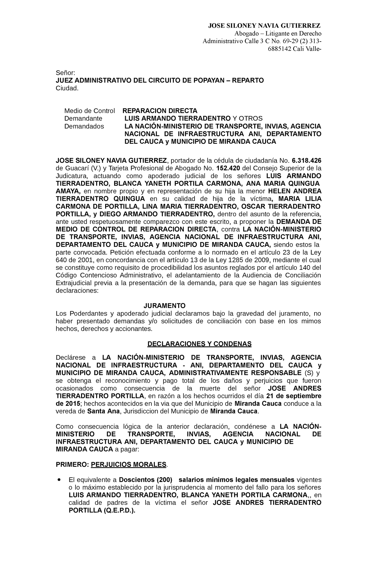 Demanda DE Reparacion Directa - JOSE SILONEY NAVIA GUTIERREZ Abogado ...