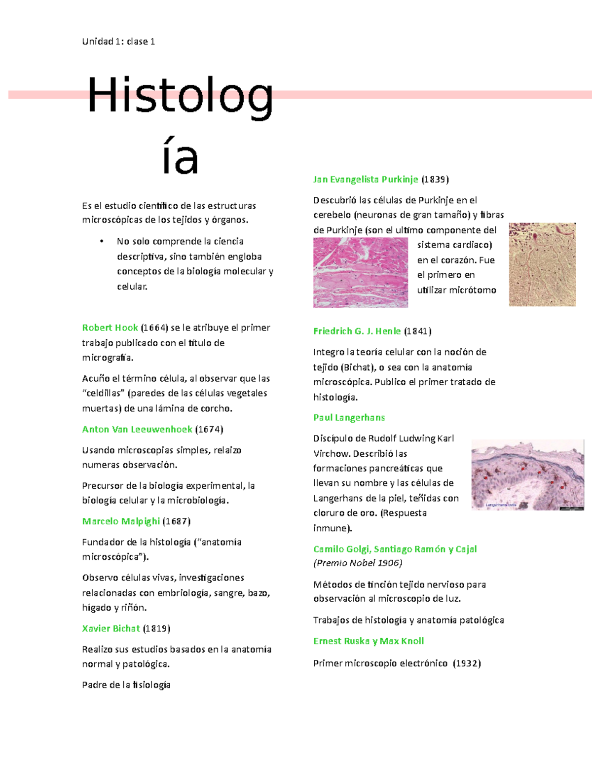 Histología Clase 1 - Unidad 1: Clase 1 Histolog ía Es El Estudio ...