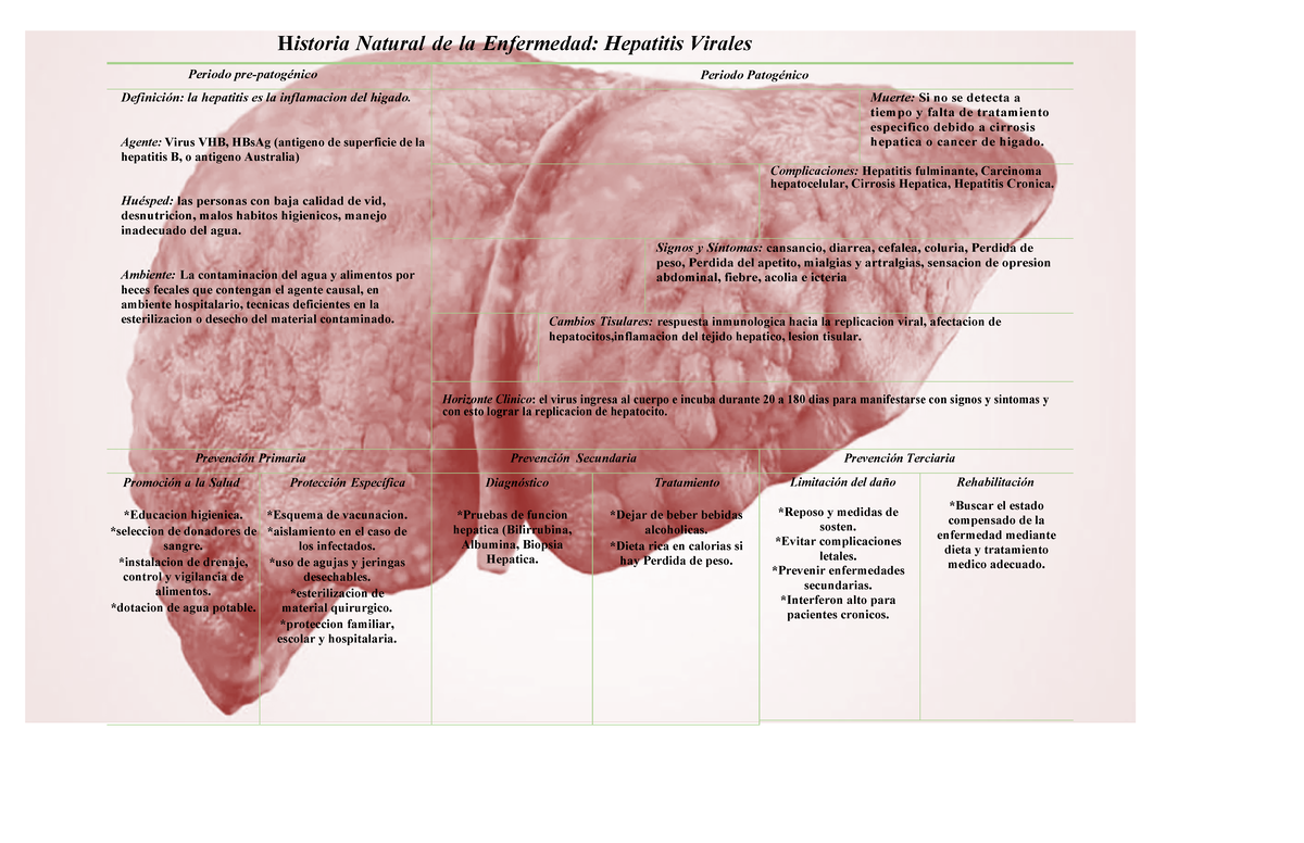 Historia natural de la enfermedad hepatitis virales - H istoria Natural