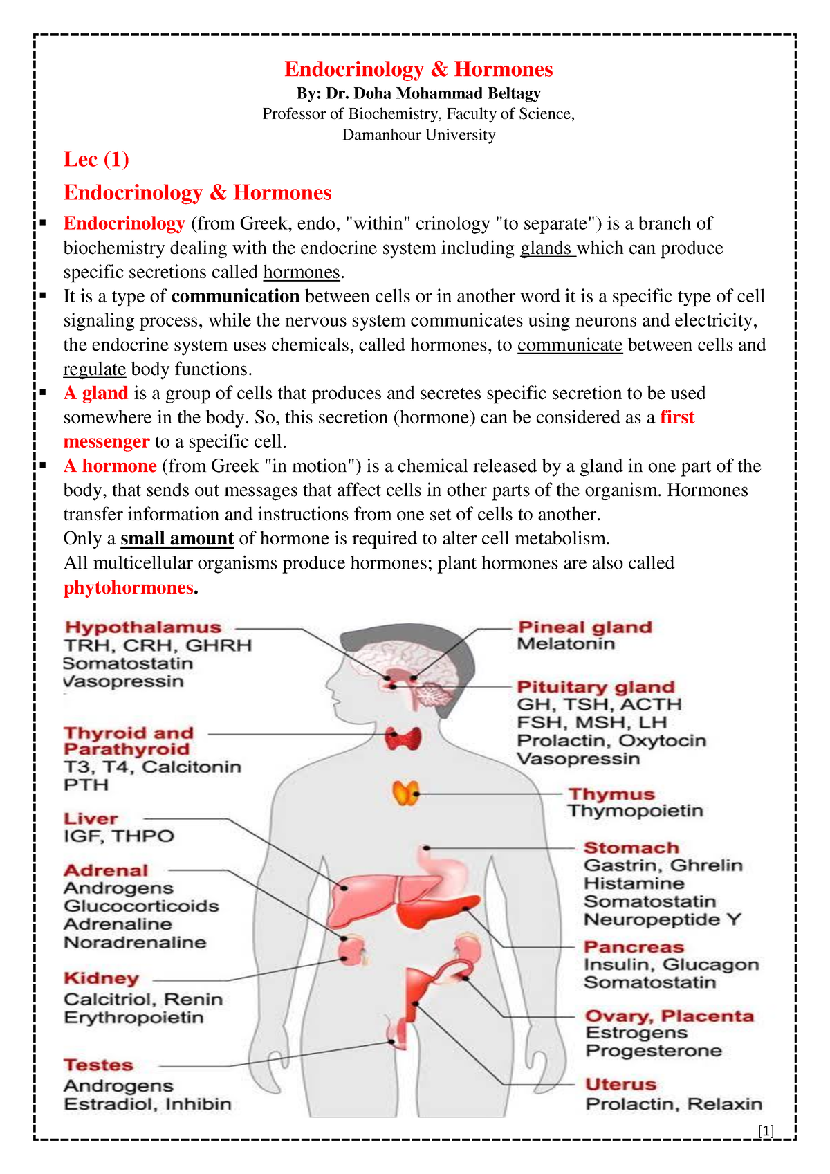 Hormones Edited - Histology and Biology - Endocrinology & Hormones By ...