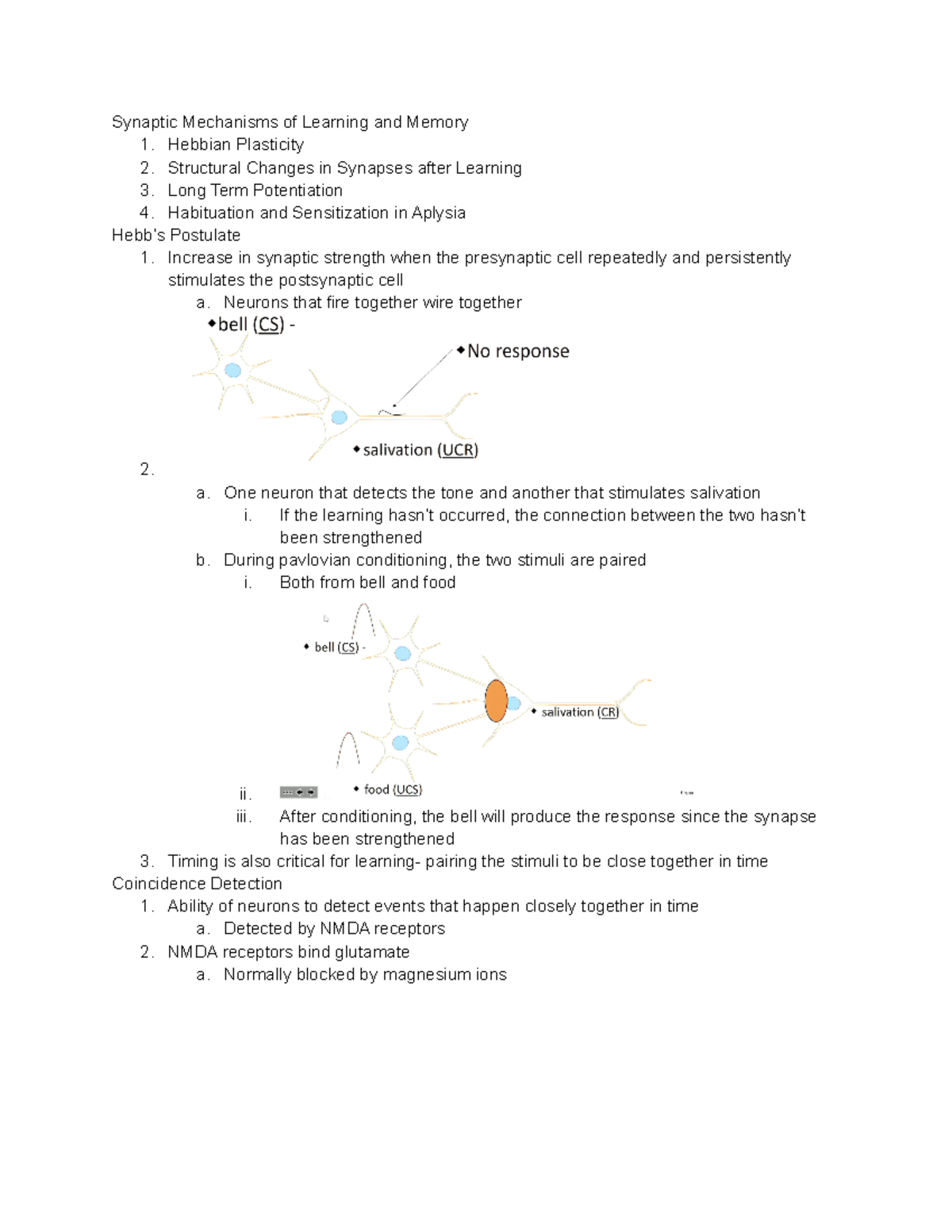 L3 - Lecture notes 16 - Synaptic Mechanisms of Learning and Memory 1 ...