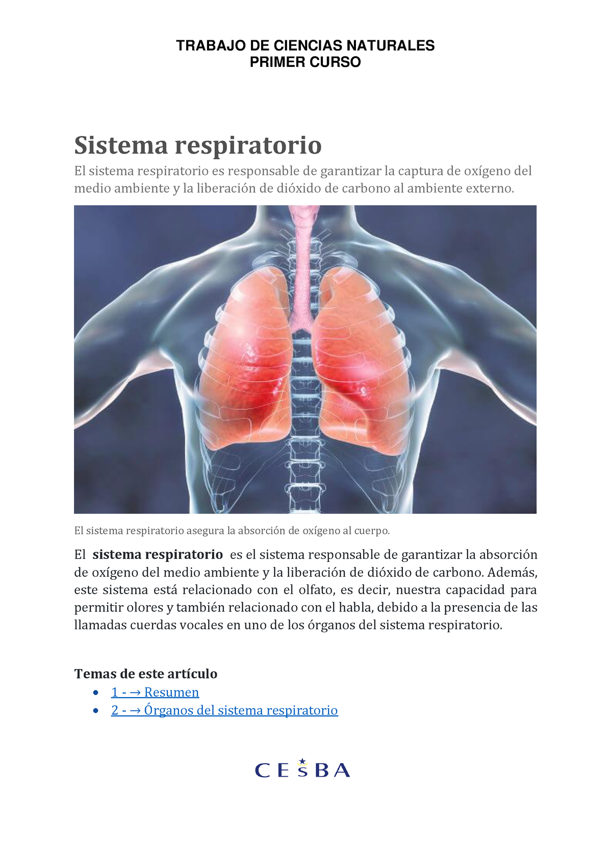 Documento 21 - Espanhol - PRIMER CURSO Sistema Respiratorio El Sistema ...