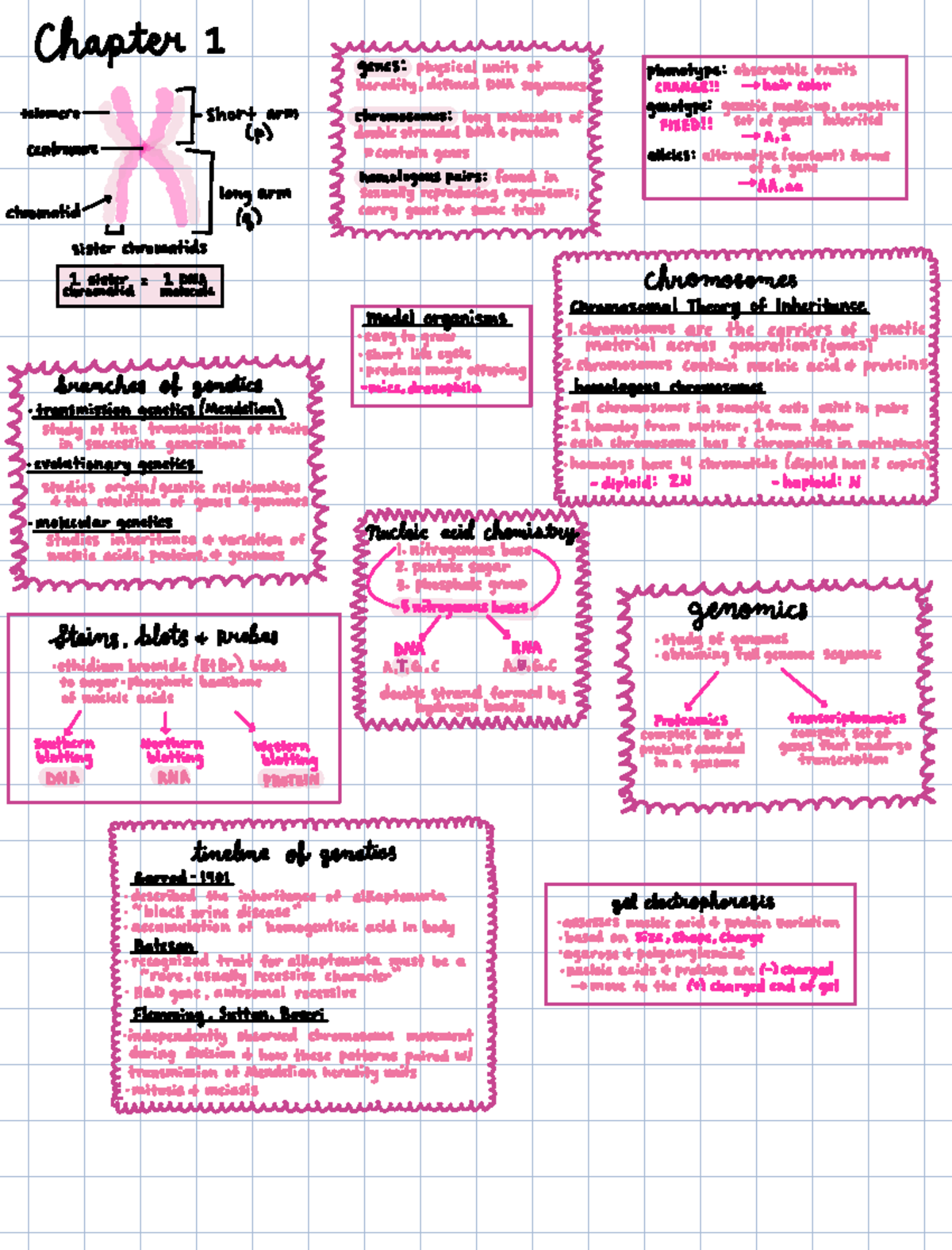 Exam 1 review - lecture notes for exam 1 - Chapter I ZTEII IfIis ...