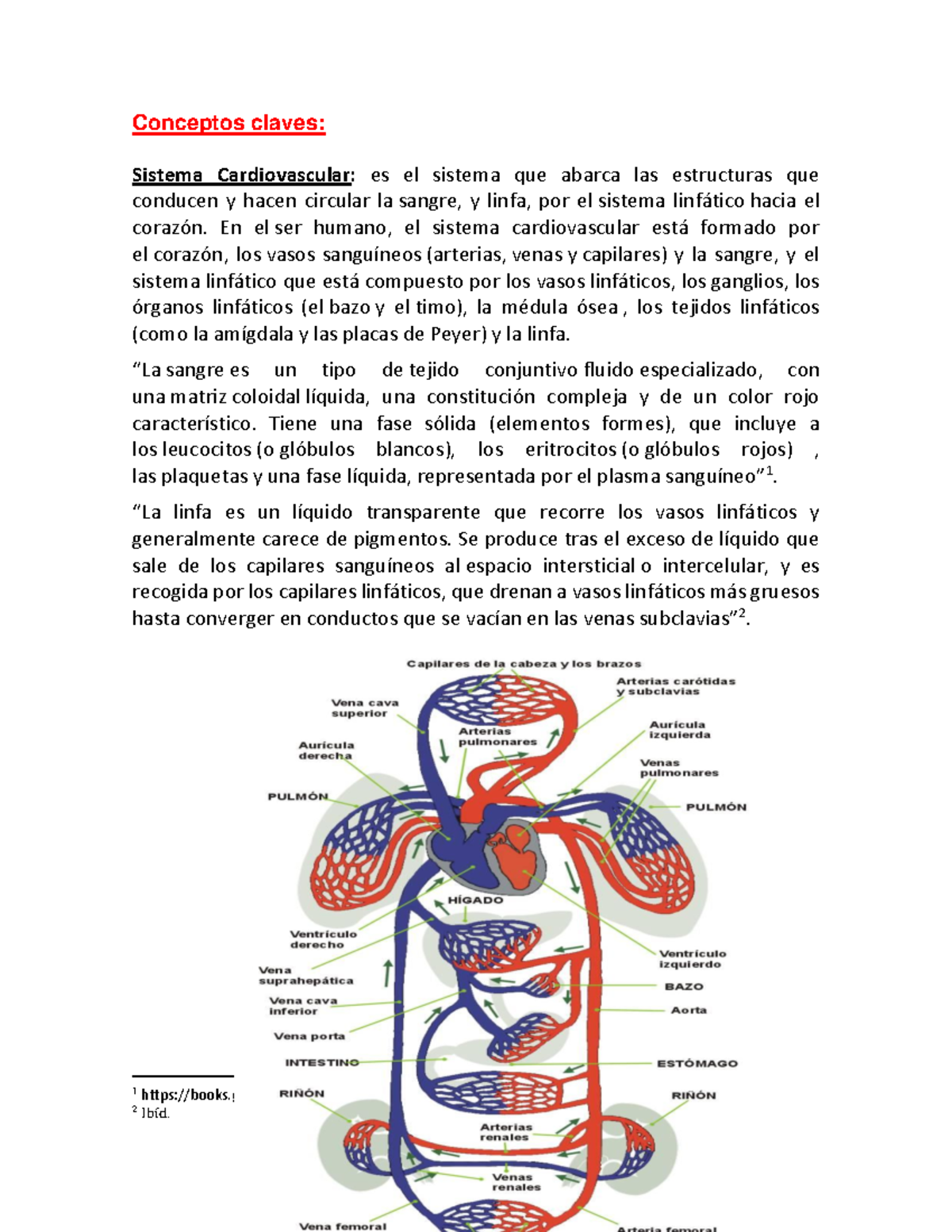 FSP06 Contenido Teorico Unidad 3 - Conceptos Claves: Sistema ...