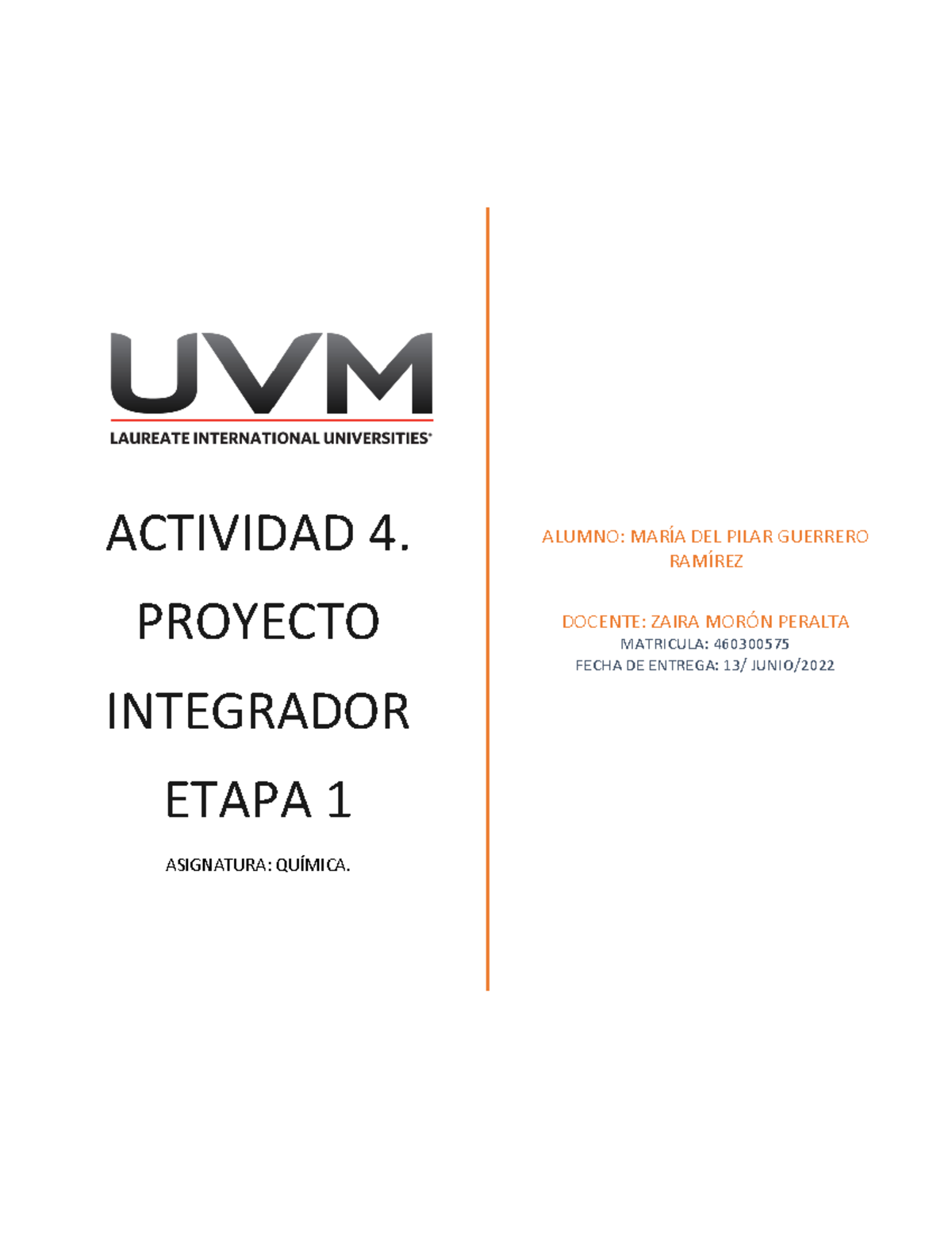 A#4 MPGR - ACTIVIDAD 4. PROYECTO INTEGRADOR ETAPA 1 - ACTIVIDAD 4 ...